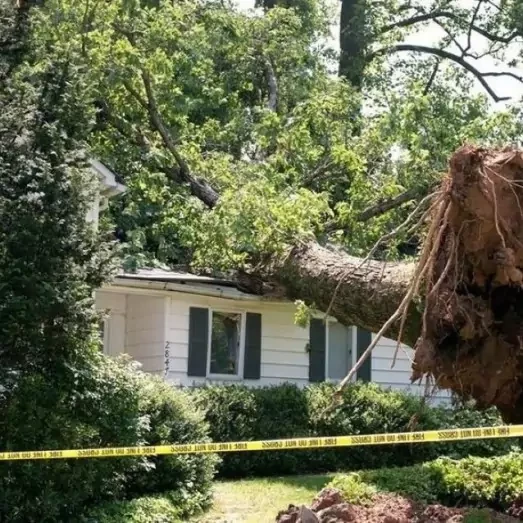 Storm Damage Repair Services in St. Paul, MN