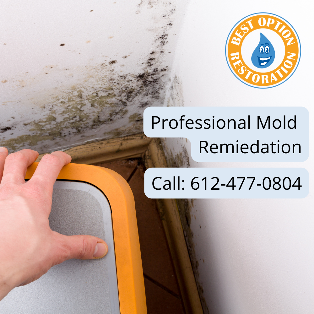 When Mold is a Problem
